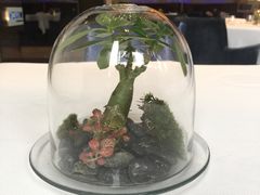 -AZUR聚(香格里拉饭店)