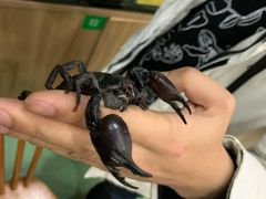 -藦茜花园宠物主题亲子互动体验馆(国顺东路店)