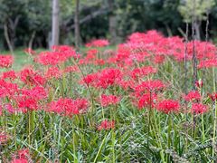 -白塘生态植物园