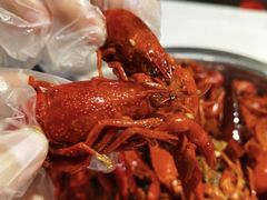 -九喜龙虾(凤城六路直营店)