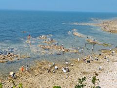 -养马岛旅游度假区