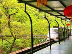 -溪口-滕头旅游景区