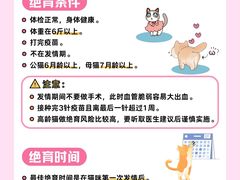 -守诺宠物医院·眼科· 特色牙科·异宠专科(虹口店)