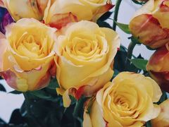 -Butchart布查德鲜花(花艺设计中心)