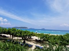 -三亚亚龙湾天域度假酒店