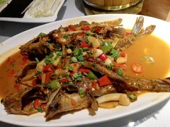 黄刺鱼-秀水人家