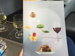 -德国汉莎航空公司