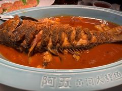-阿五黄河大鲤鱼(英协路店)