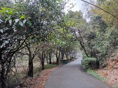 -太和古洞