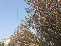 景点-丰台花园