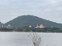 -顺峰山公园