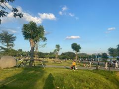 -露天矿生态公园