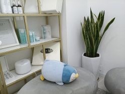点击看大图 -skin79皮肤管理中心
