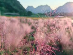 -云漫湖生态度假公园