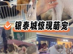 -成都银泰城