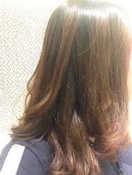 -红人馆造型十添