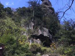 -青峰峡国家森林公园