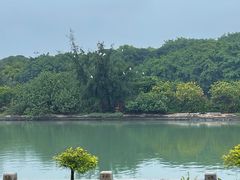 -时光花园(白鹭洲店)