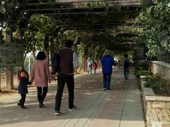 -北京张裕爱斐堡酒庄