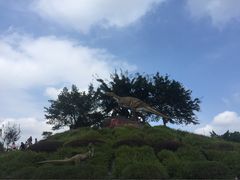 -自贡恐龙博物馆