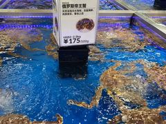 -盒马X会员店(上海森兰商都店)