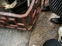 -农轩·醉黄冈