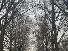 -雍和宫(地铁站)