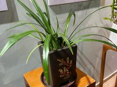-野象谷景区