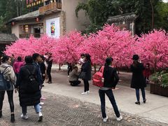 -观澜山水田园