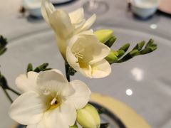 -南堂馆·新川菜(天府三街店)