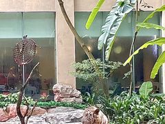 -白虎自助餐厅·真老虎·景观自助餐厅(广州长隆酒店)