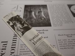 -小大董·烤鸭(凤凰汇店)