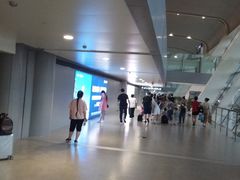 -合肥新桥国际机场-航站楼