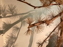 -春熙台韩国料理·章鱼肥牛(西丽店)