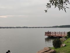 -丁香湖公园