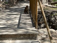 -北京上方山国家森林公园