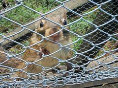 -野三坡百草畔景区