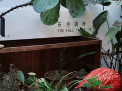 -the fall kaffe乐否咖啡