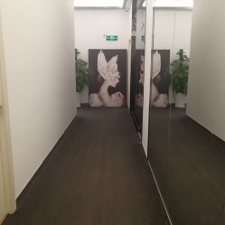 -DEM缔怡美科技美容