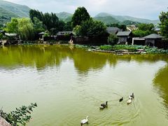 -静之湖度假区