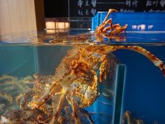 -綱元·海鲜豆捞(明州里店)