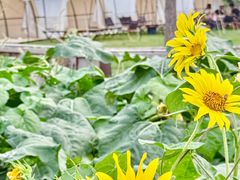 -不觉晓·龙洞露营地