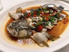 -皇朝尊会(龙之梦大酒店)