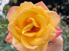 -人民公园(罗湖区)