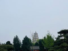 -大慈恩寺(大雁塔)