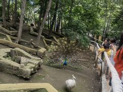 -哈尔滨北方森林动物园