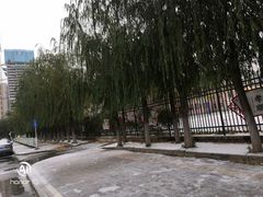 -秦皇岛市西港路小学