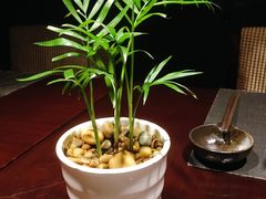 -富力希尔顿酒店·源氏日餐厅