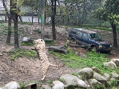 -常州淹城野生动物世界
