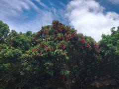 -龙凤山庄影视度假村